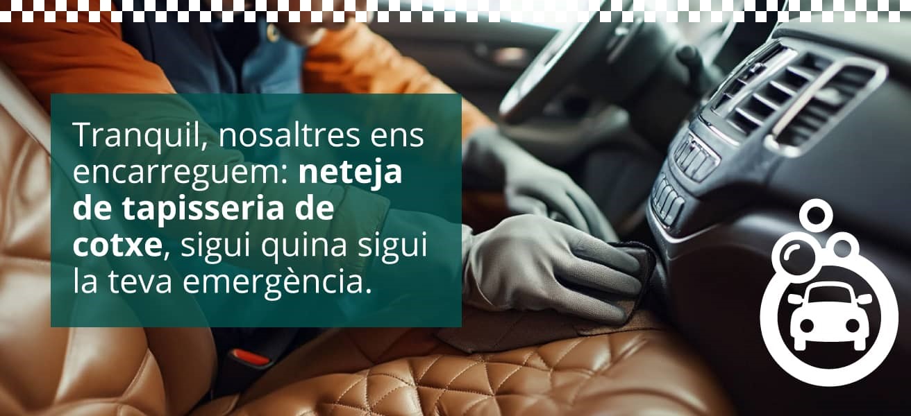 neteja de tapisseria